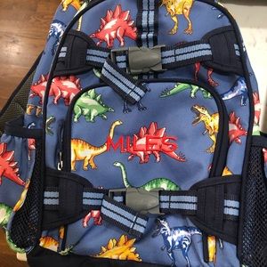 dinosaur backpacks (large and small) /lunch box